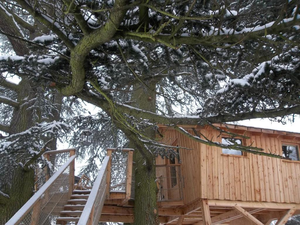 Domaine Des Grands Cedres Bed & Breakfast Cordelle Oda fotoğraf
