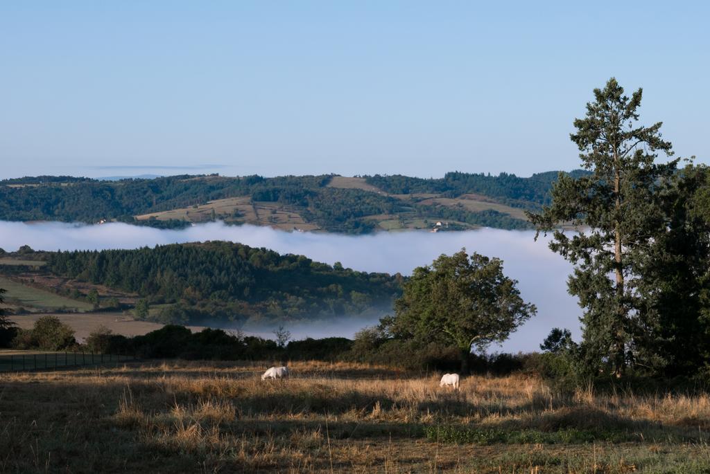 Domaine Des Grands Cedres Bed & Breakfast Cordelle Dış mekan fotoğraf