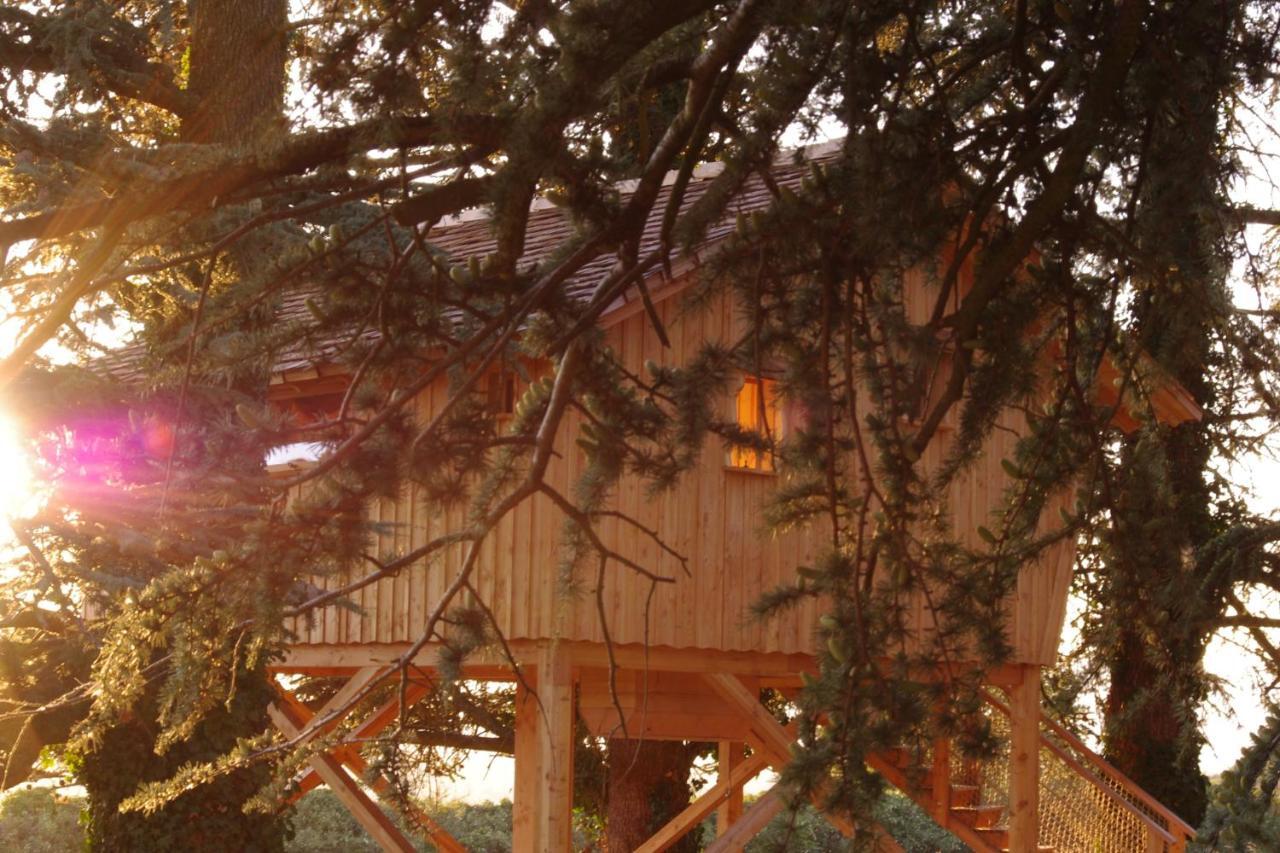 Domaine Des Grands Cedres Bed & Breakfast Cordelle Oda fotoğraf